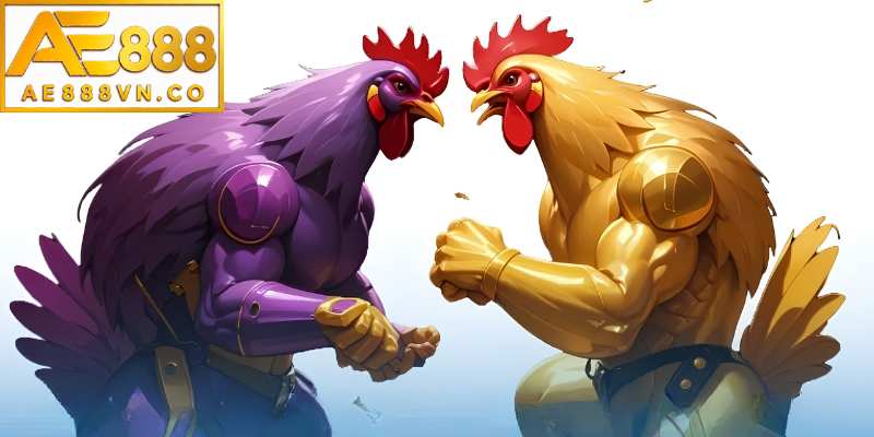 Cách nhận biết gà đá hay qua ngoại hình thế nào?