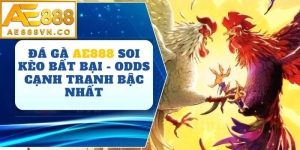 Đá Gà AE888 | Đấu Trường Trực Tuyến Hội Tụ Những Chiến Kê Hàng Đầu