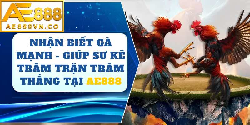 Nhận Biết Gà Mạnh AE888 – Bí Quyết Chọn Chiến Kê Đá Hay