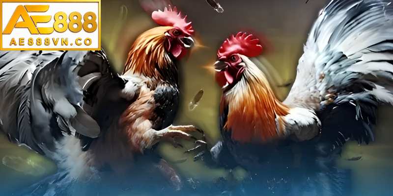 Phân tích các loại dáng đinh phổ biến