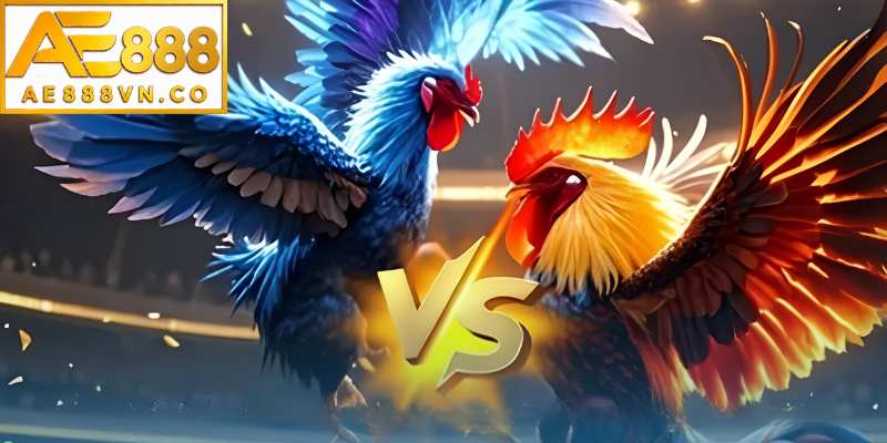 Tầm quan trọng của việc biết cách xem cựa gà chiến