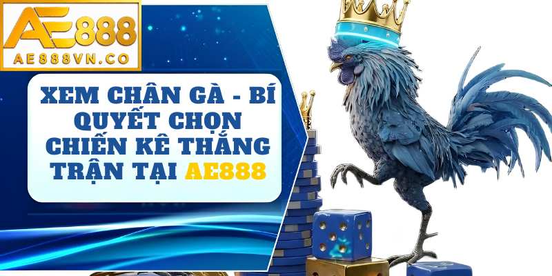 Xem Chân Gà AE888 – Bí Quyết Nhận Biết Chiến Kê Đá Hay