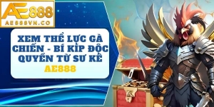 Xem Thể Lực Gà Chiến AE888 – Bí Quyết Nhận Diện Chiến Kê Bền Bỉ
