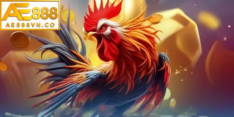 Xem thể lực gà chiến qua ngoại hình và phản xạ
