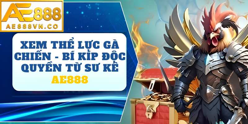 Xem Thể Lực Gà Chiến AE888 – Bí Quyết Nhận Diện Chiến Kê Bền Bỉ